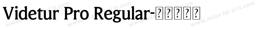 Videtur Pro Regular字体转换